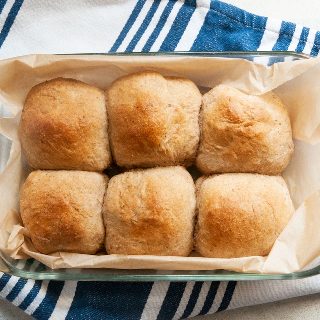 Buns made with sprouted flour